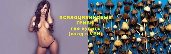 молекула духа Горно-Алтайск